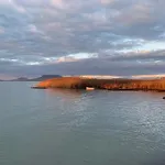 Topart Ii Balatonfenyves