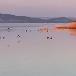 Topart Ii Apartamento Balatonfenyves