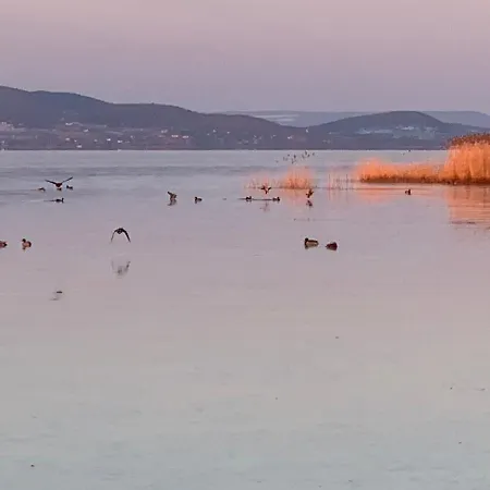 Tópart Ii Apartman Balatonfenyves