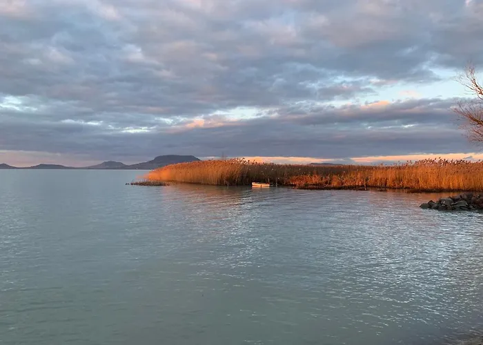 Topart Ii Balatonfenyves