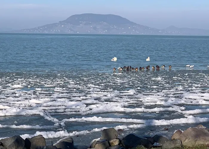 Topart Ii Apartamento