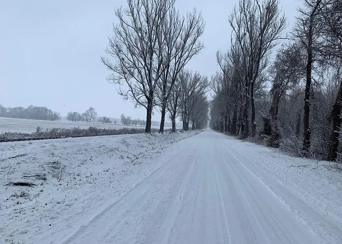 Apartamento Topart Ii *