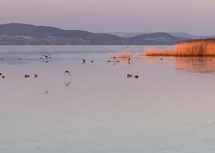 Topart Ii Apartamento Balatonfenyves