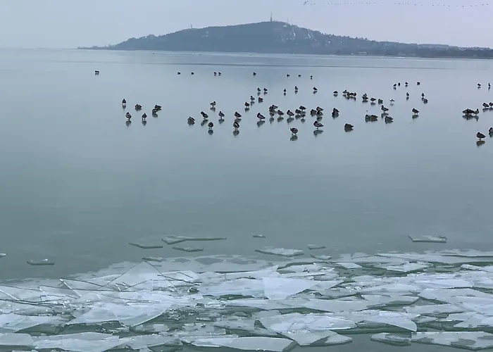 Topart Ii * Balatonfenyves